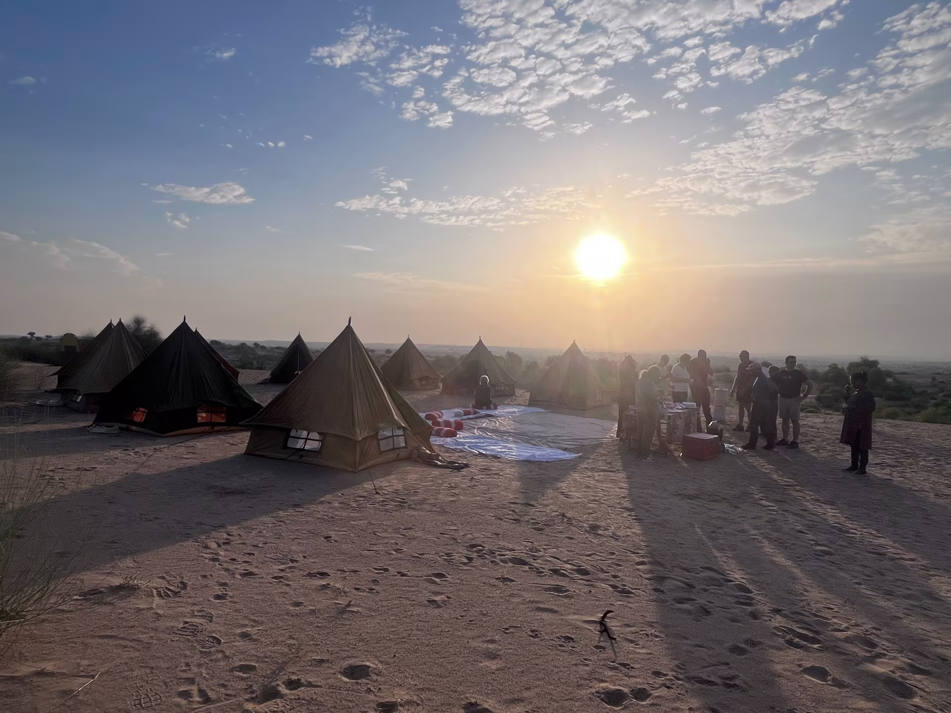 Desert Sky Tours photo