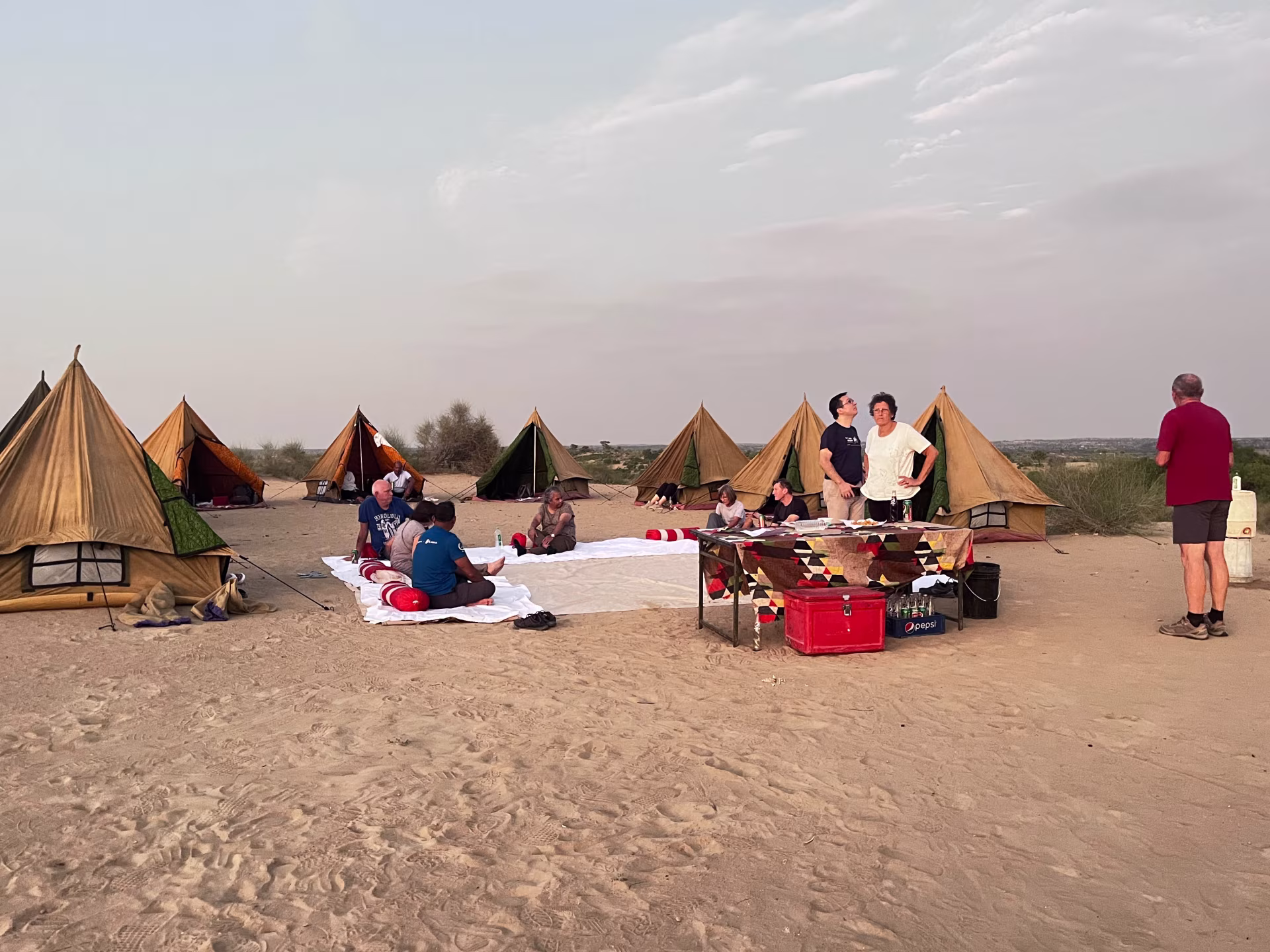 Desert Sky Tours photo