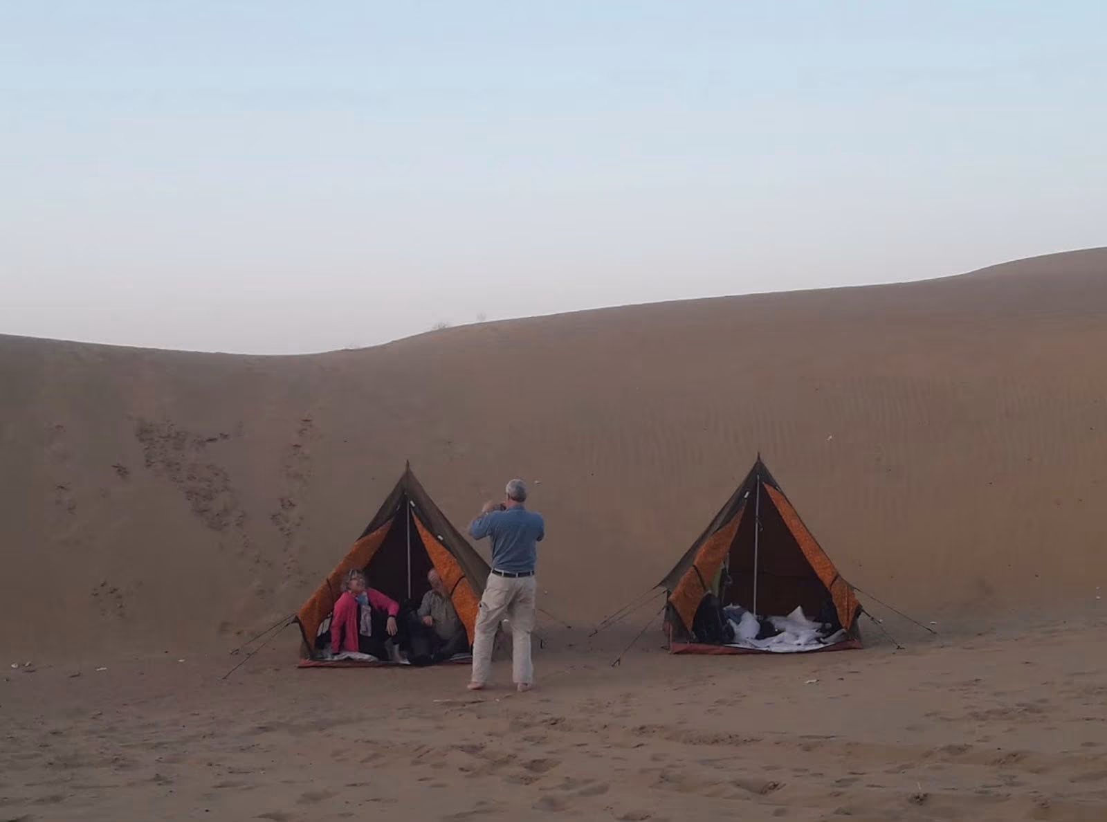 Desert Sky Tours photo